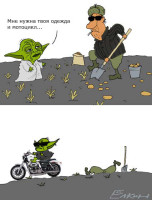 yoda12.jpg