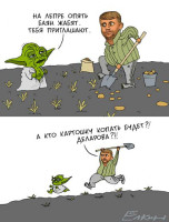 yoda13.jpg