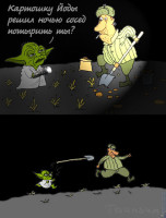 yoda15.jpg