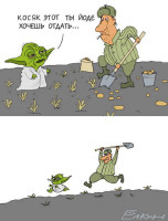 yoda30.jpg