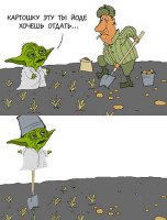 yoda47.jpg