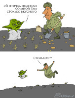 yoda50.jpg