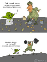 yoda51.jpg