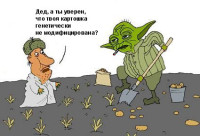 yoda53.jpg