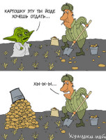 yoda61.jpg