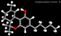 thc_3d.jpg