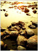 stones_in_Ganga____by_markocavka.jpg