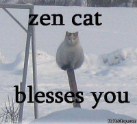 zencat.jpg