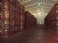 rum-warehouse-in-st-lucy.jpg