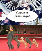 цирк1.jpg