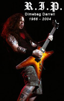 7204rip_dimebag2.jpg