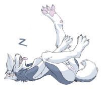 f_1213179484468_huskySleep.jpg