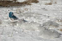 Ice_Mermaid_03_by_LadyBilliePrudence.jpg