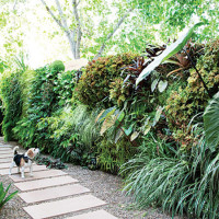 garden-path-ideas37.jpg