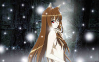 Konachan.com - 47909 horo spice_and_wolf.jpg