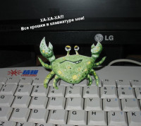 SlyCrab.jpg