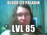 BLOOD-ELF-PALADIN-LVL-85.jpg