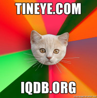 tineyecom-iqdborg.jpg