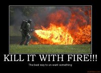 Kill-it-with-fire-demotivational-poster-1235695993.jpg