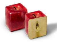 Square_Apples_013450_.jpg