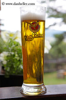 zlaty-bazant-beer-3-big.jpg