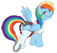 rainbow dash uniform 2.jpg