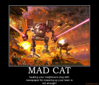 mad-cat-demotivational-poster-1252097300.jpg