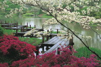 42572878_JapaneseGarden_JJennings_wow_wallpaper.jpg