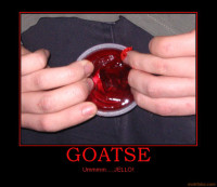 goatse-jello-demotivational-poster-1238229857.jpg