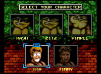 Battletoads-and-Double-Dragon-ivan.jpg