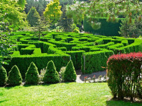 garden_maze.jpg