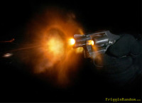 pistol-fire-gun-revolver.jpg