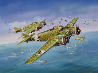 dbs_Roy_Cross_Celebration_Of_Flight_17.jpg