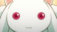 8054.kyubey.jpg