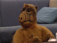 alf_5.jpg