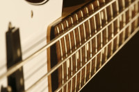 jazz bass guitar 01.jpg