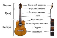 500px-Classical_Guitar_labelled_russian.jpg