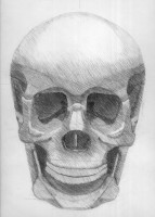 skull 6.jpg