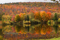 NH-fall-foliage-21.jpg