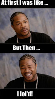 At_first_but_then_yo_dawg.jpg