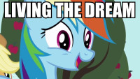 371 - macro rainbow_dash.jpg