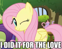 7872 - fluttershy i_did_it_for_the_love meme.jpg