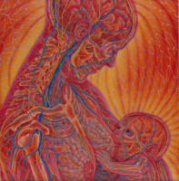 Alex Grey Nursing.jpg