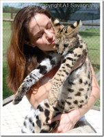 Kathrin-Stucki-and-Serval-Cat_thumb[11].jpg