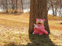 slowpoke_IRL.jpg