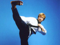 Chuck-Norris-Side-Kick.jpg