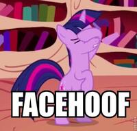 9106 - facehoof my_little_pony_friendship_is_magic tagme twilight_sparkle.jpeg