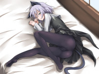 1310168938_1309529573_konachan.com-97163-animal_ears-hamihe-pantyhose-photoshop-sanya_v_litvyak-strike_witches-tail.jpg