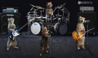 Cats-Band-Take-My-Breath-Away-MetalCover-Biomortal-.jpg