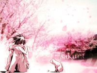 Konachan.com - 49073 animal cat death_note l.jpg